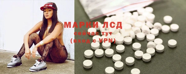 прущие грибы Богородицк