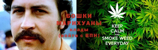 прущие грибы Богородицк