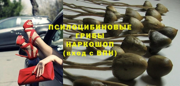 прущие грибы Богородицк